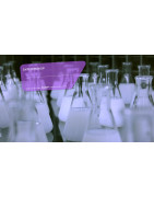 BAMATA (CI) : Biotechnologie et Gamme Verte, Solutions Écologiques