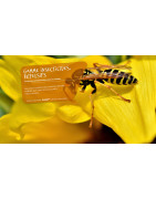 BAMATA Distribution (CI) : Rodonticides, Insecticides et Dissuasifs Professionnels Abidjan