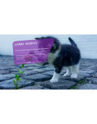 BAMATA Distribution Firchim (CI) : Hygiène Animale, Désinfection et Entretien